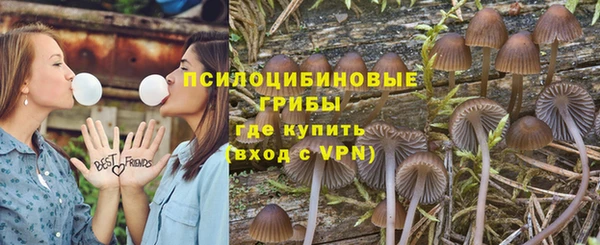 соль курить ск Белокуриха