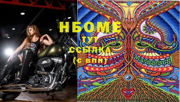соль курить ск Белокуриха