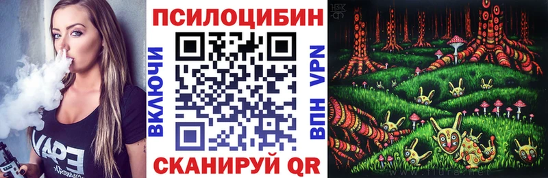 blacksprut вход  Чердынь  Псилоцибиновые грибы GOLDEN TEACHER 